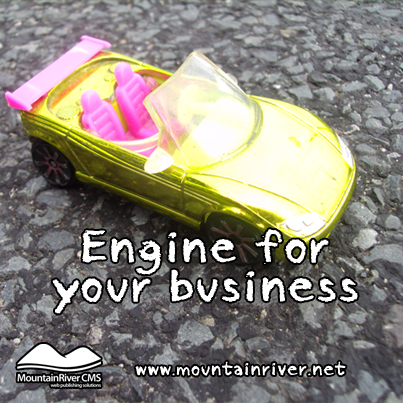 MountainRiver CMS the engine for your business.