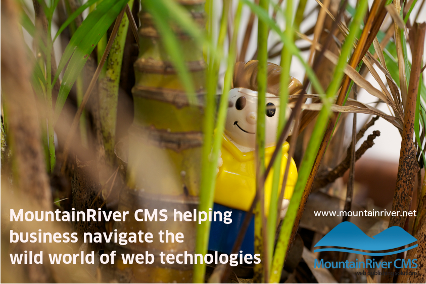 MountainRiver CMS saving businesses from the wild wild web